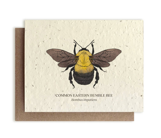Greeting Card ~ Bumble Bee (Plantable Wildflower Seed Card)
