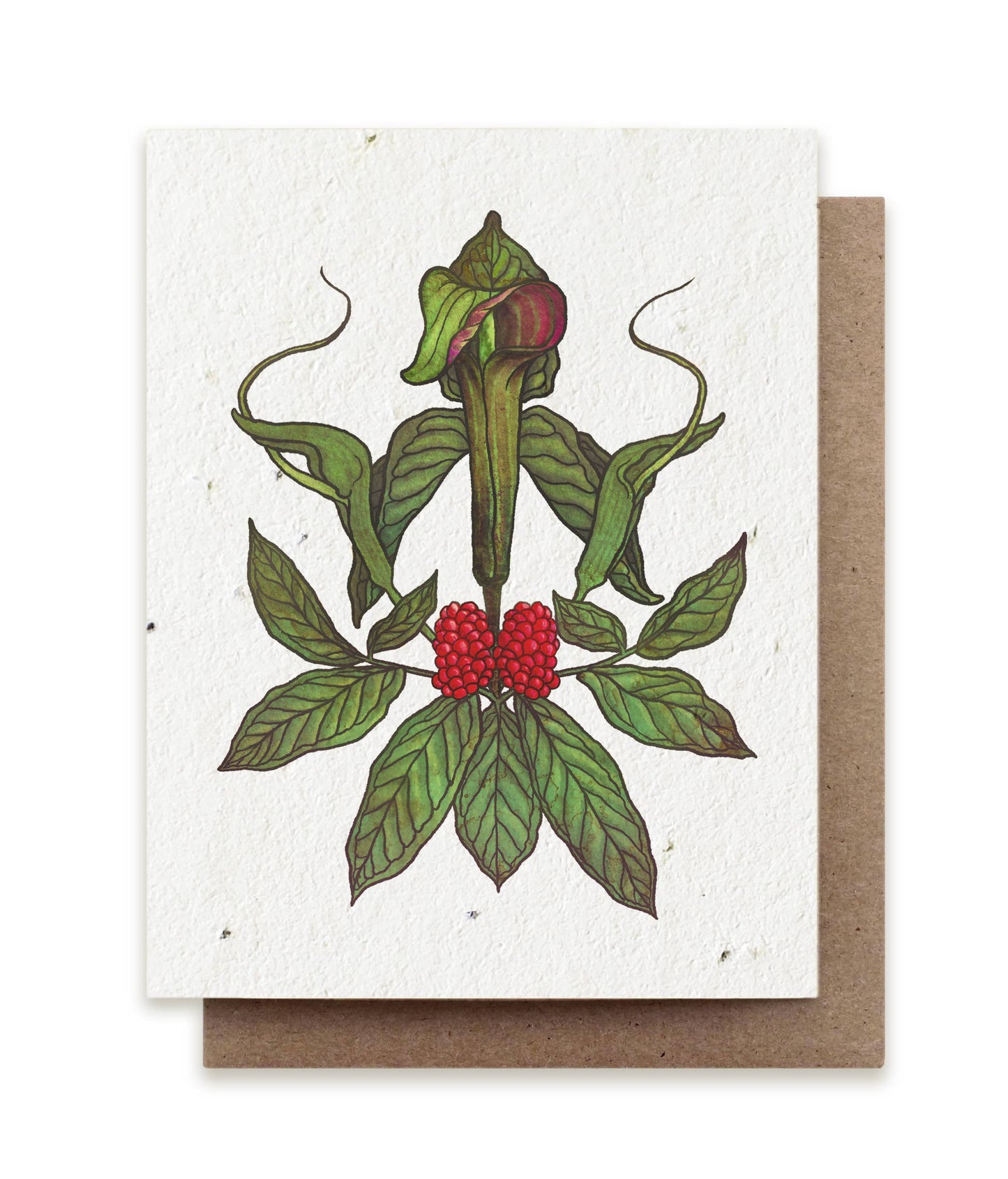 Greeting Card ~ Jack-in-the-Pulpit & Green Dragon (Plantable Herb Seed Card)