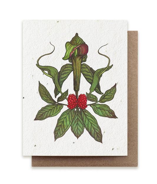 Plantable Greeting Card ~ Jack-in-the-Pulpit