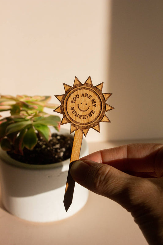 Wood Plant Pick ~  You Are My Sunshine