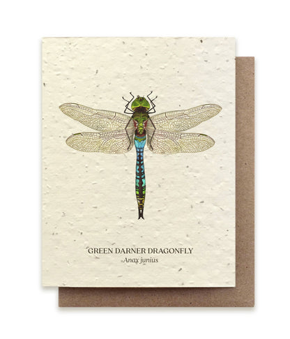 Plantable Greeting Card ~ Green Darner Dragonfly