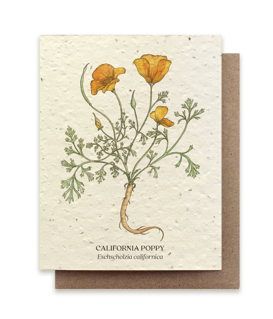 Greeting Card ~ California Poppy (Plantable Wildflower Seed Card)