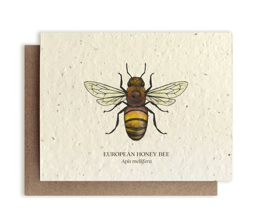 Greeting Card ~ Honey Bee (Plantable Wildflower Card)