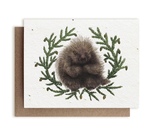 Greeting Card ~ North American Porcupine & Hemlock (Plantable Herbal Seed Card)