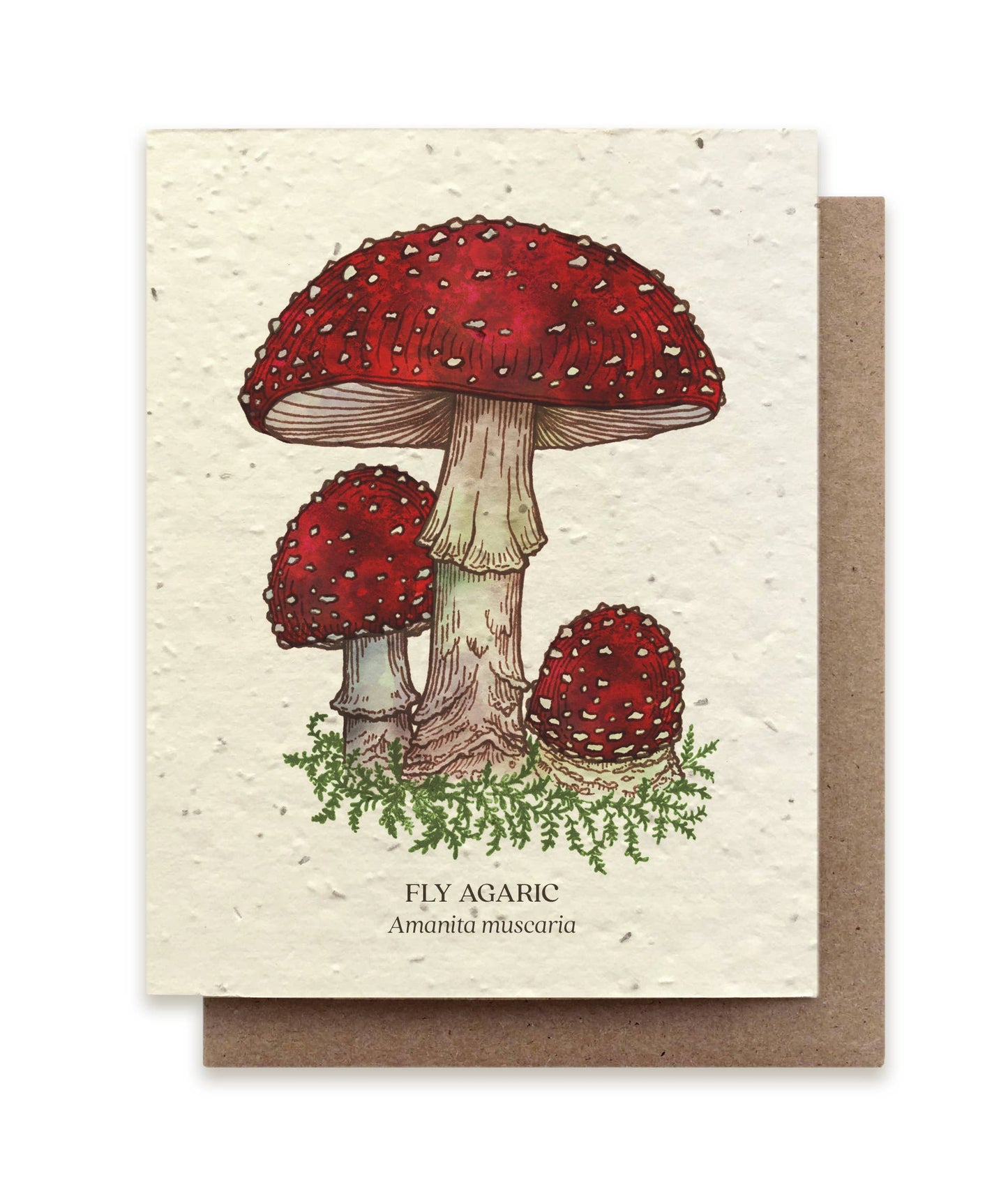 Greeting Card ~ Fly Agaric Mushroom (Plantable Wildflower Seed Card)