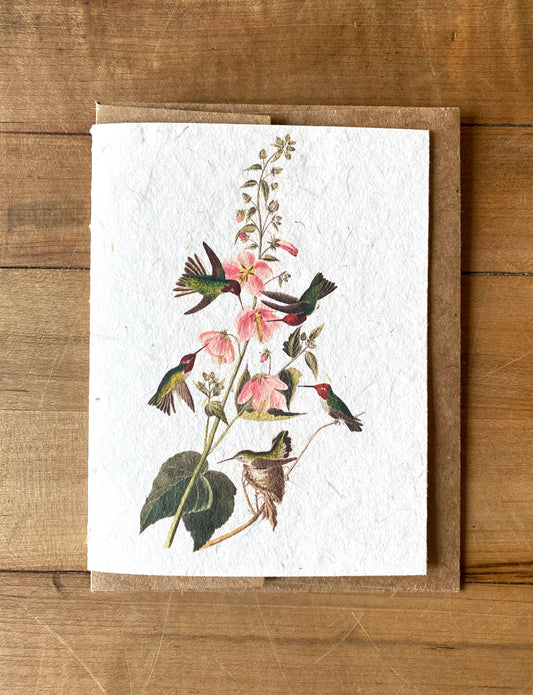Greeting Card ~ Columbian Hummingbirds