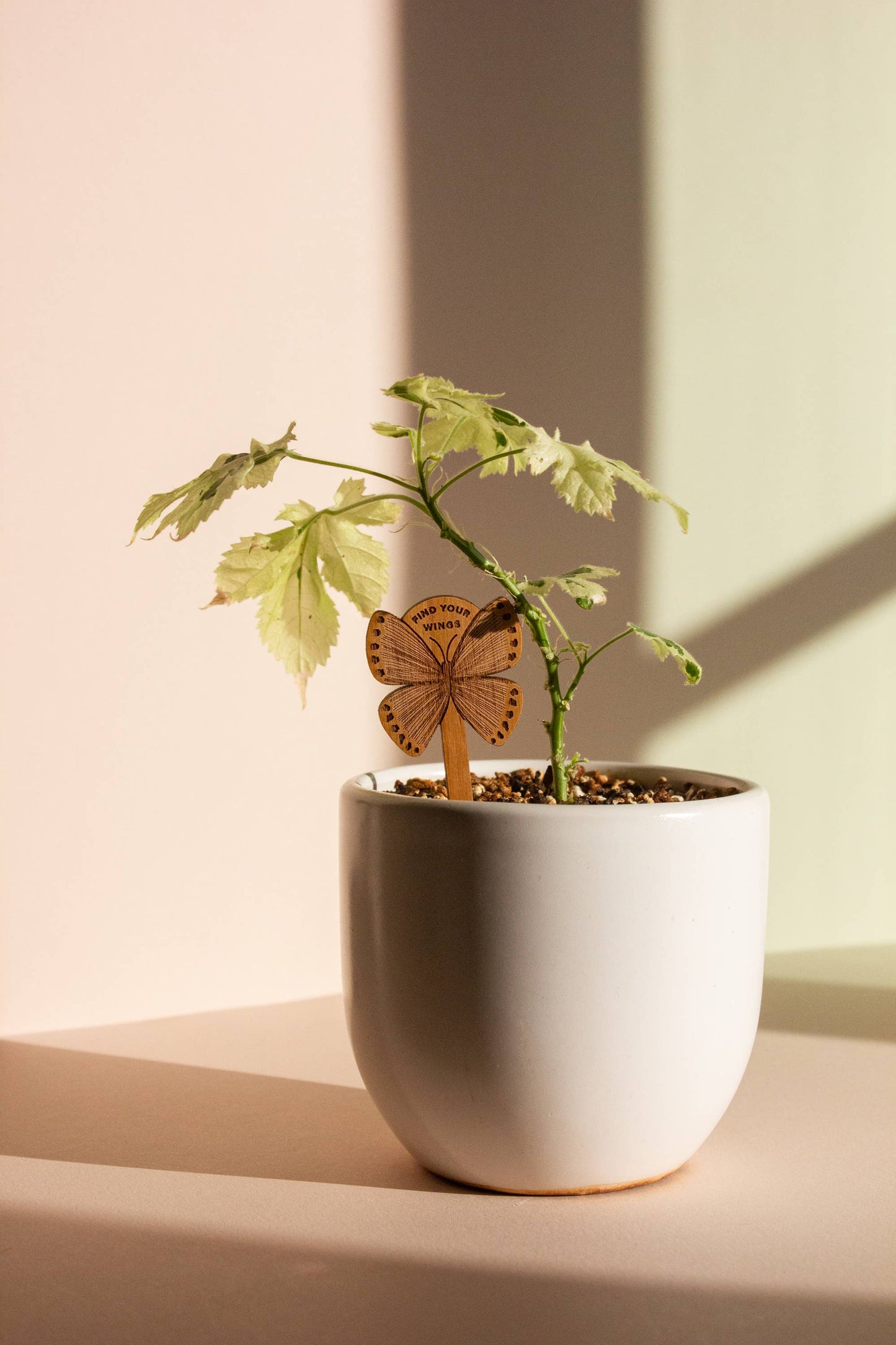 Wood Plant Pick ~ Find Your Wings Butterfly