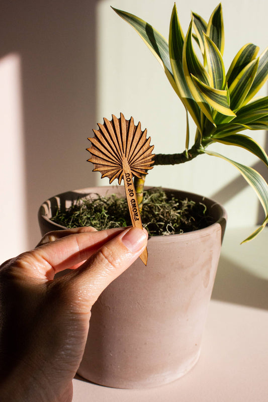 Wood Plant Pick ~  Frond of You Palm